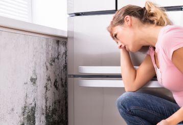 Professional technicians conducting mold removal using advanced techniques.