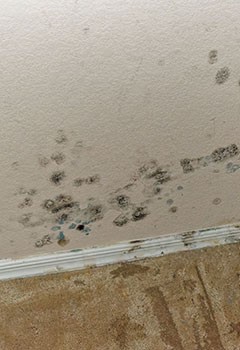 Water Damage Remediation Near Burbank