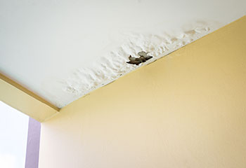 Water Damage Remediation, Burbank